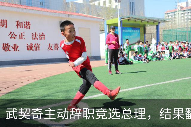 武契奇主动辞职竞选总理，结果翻了大车，新领导对华态度模棱两可